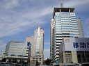 China Mobile Limited logo